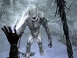 PlayStation 4 - Elder Scrolls V: Skyrim VR, The screenshot