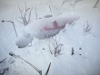 PlayStation 4 - Impact Winter screenshot