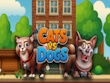 PlayStation 5 - Cats vs Dogs screenshot