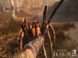 Switch - Elder Scrolls 5: Skyrim, The screenshot